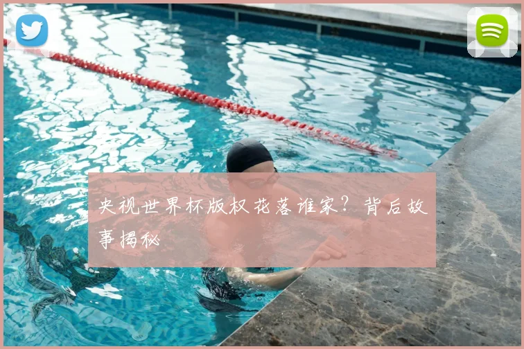 央视世界杯版权花落谁家？背后故事揭秘