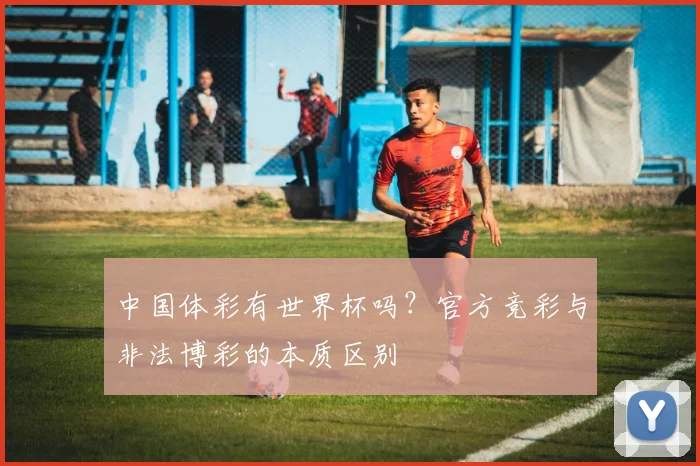 中国体彩有世界杯吗？官方竞彩与非法博彩的本质区别