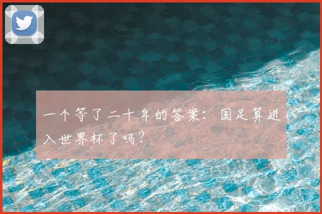一个等了二十年的答案：国足算进入世界杯了吗？