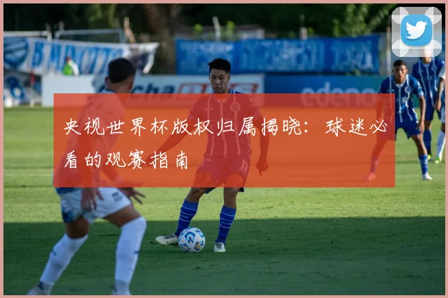 央视世界杯版权归属揭晓：球迷必看的观赛指南
