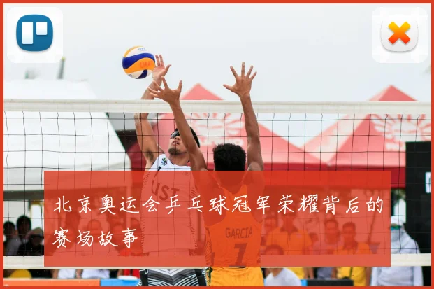 北京奥运会乒乓球冠军荣耀背后的赛场故事