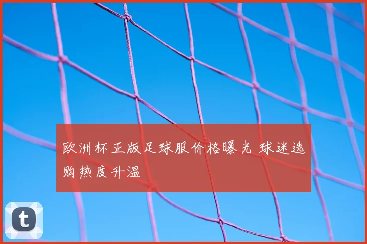 欧洲杯正版足球服价格曝光 球迷选购热度升温