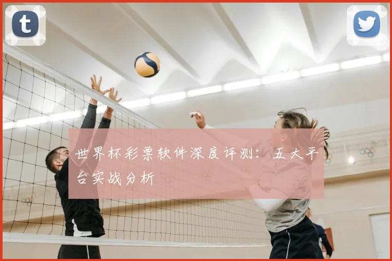 世界杯彩票软件深度评测：五大平台实战分析