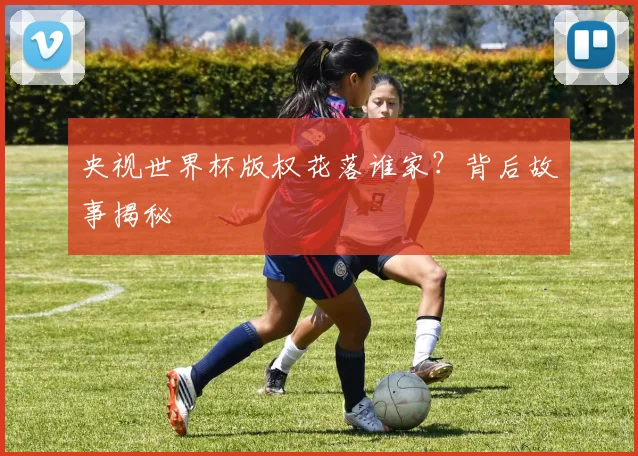 央视世界杯版权花落谁家？背后故事揭秘