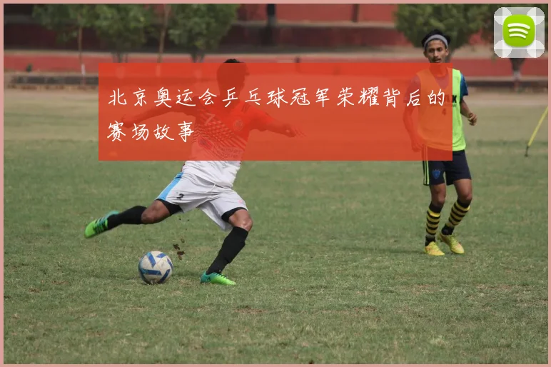 北京奥运会乒乓球冠军荣耀背后的赛场故事