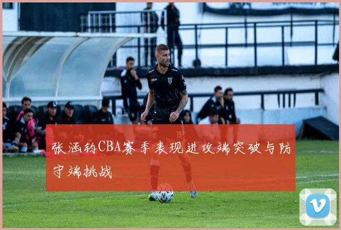 张涵钧CBA赛季表现进攻端突破与防守端挑战