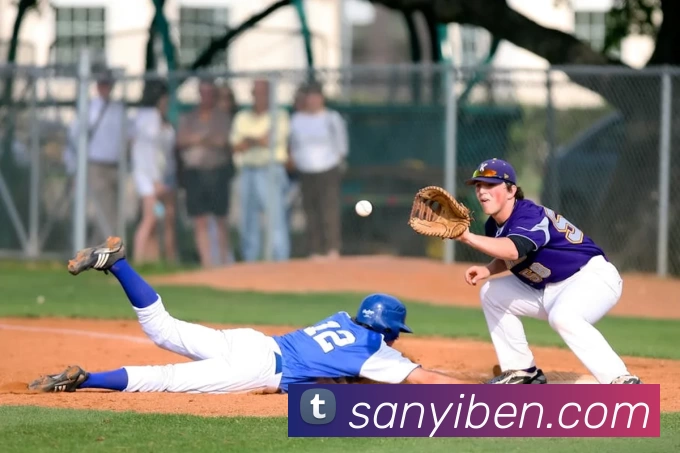 华体会体育平台生态图